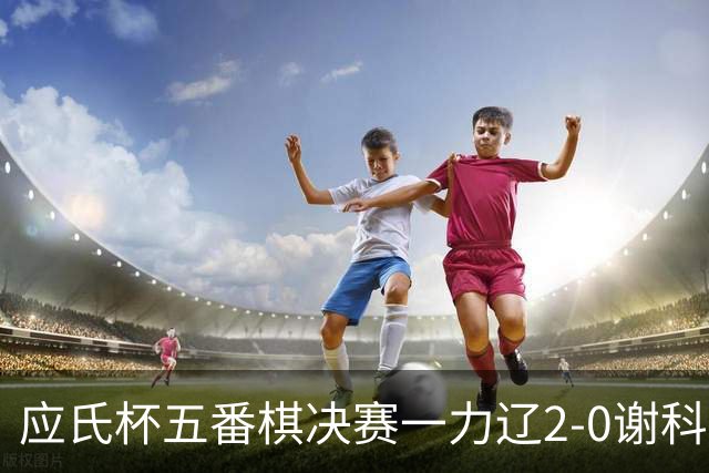 应氏杯五番棋决赛一力辽2-0谢科 率先拿到赛点